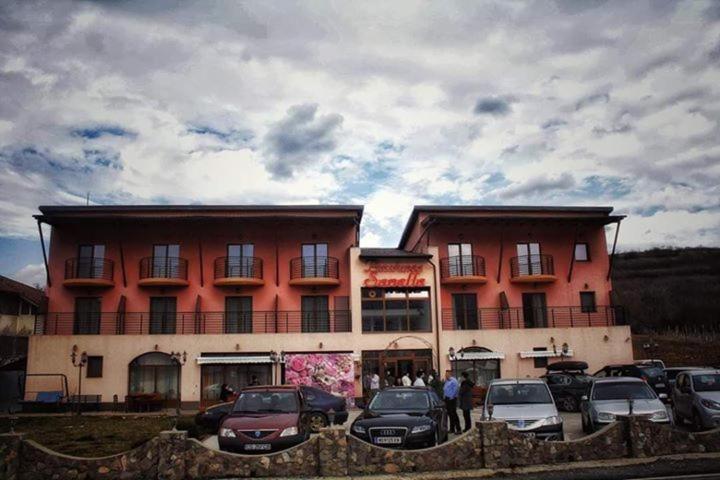 Pensiunea Sanella Liubcova Exterior photo